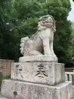 和泉國一之宮 大鳥大社の狛犬