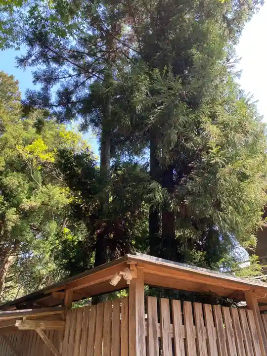 鎌数伊勢大神宮(千葉県)