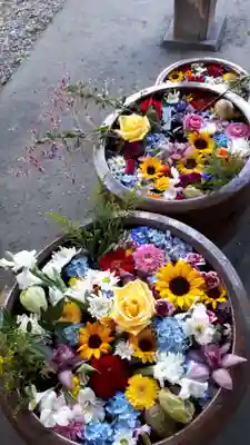 多賀神社の手水舎