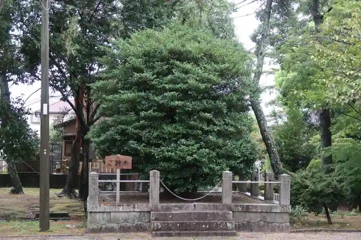 櫻井神社(愛知県)
