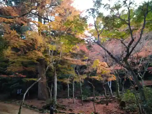 四宮神社の自然