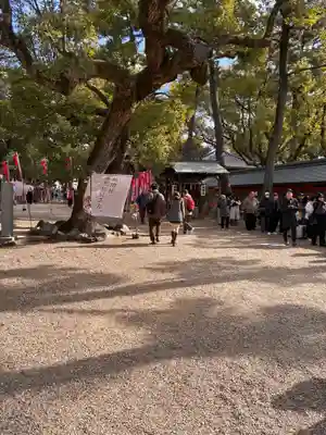 住吉大社の景色