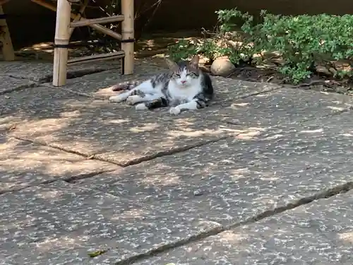 天王寺(東京都)