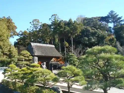 天嶽院の景色