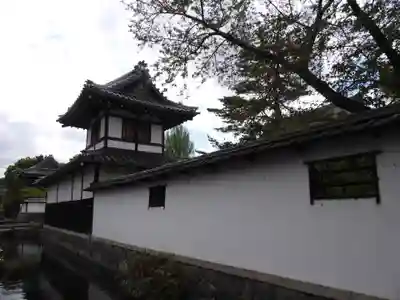 弘誓寺(滋賀県)
