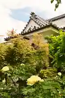 少林寺(埼玉県)