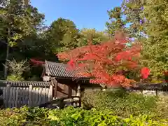 西芳寺(京都府)