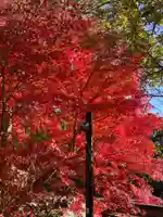 鎌倉宮(神奈川県)