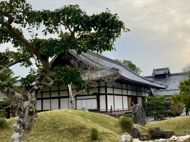 高台寺(高台寿聖禅寺・高臺寺)の本殿・本堂