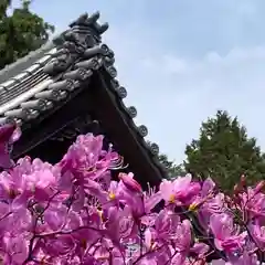 伊奈冨神社の自然