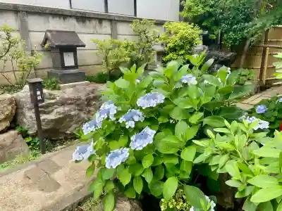 皆中稲荷神社(東京都)