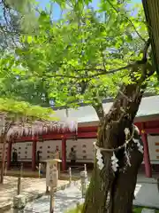 笠間稲荷神社の自然