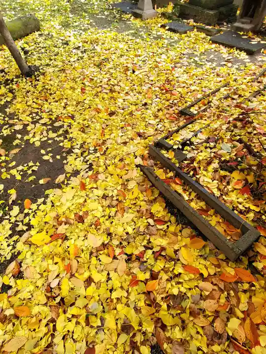 晴門田神社(福島県)