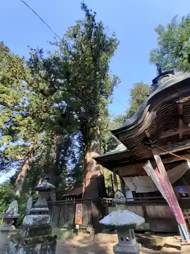 近津神社(茨城県)