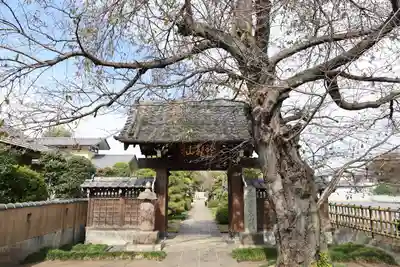松林寺(埼玉県)
