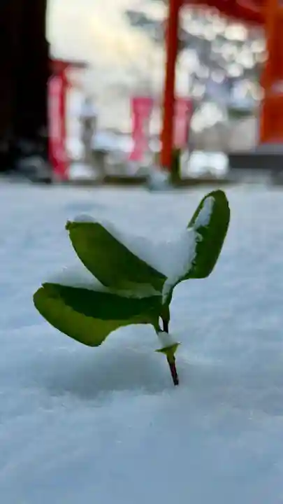 函館八幡宮(北海道)