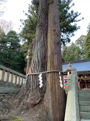 志和稲荷神社の自然