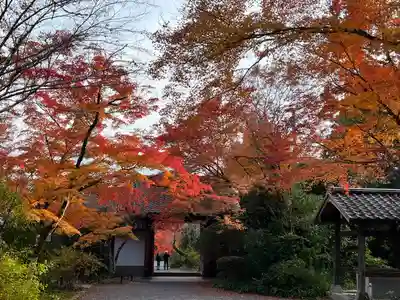 常照寺(京都府)