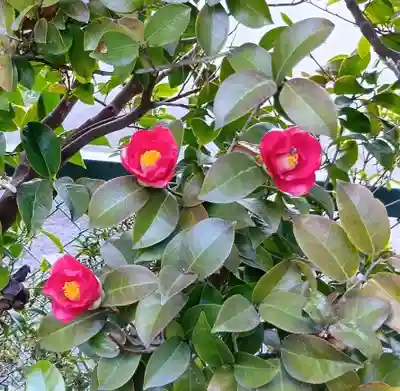 刺田比古神社(和歌山県)