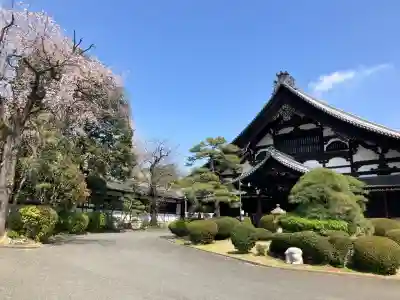 総持寺の{uncategorized: "未分類", other: "その他", undefined: "問題あり", building: "その他建物", grave: "お墓", sacred_gate: "鳥居", guardian: "狛犬", statue: "像", buddha: "仏像", history: "歴史", nature: "自然", garden: "庭園", animal: "動物", pagoda: "塔", temizu: "手水舎", mountain_gate: "山門・神門", sanctuary: "本殿・本堂", subordinate: "末社・摂社", art: "芸術", scenery: "景色", jizo: "地蔵", ema: "絵馬", goshuin: "御朱印", omikuji: "おみくじ", items: "授与品その他", amulet: "お守り", goshuincho: "御朱印帳", eats: "食事", festival: "お祭り", votive_dance: "神楽", shichigosan: "七五三参", wedding: "結婚式", experience: "体験その他", initially: "初詣", around: "周辺", anti_infection: "感染症対策"}