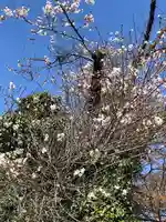 伏木香取神社の自然