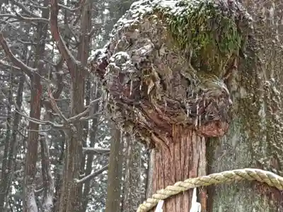 日蓮宗 総本山 塔頭 定林坊(じょうりんぼう)(山梨県)