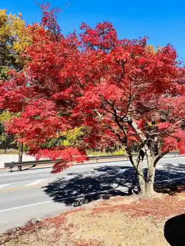 胡宮神社（敏満寺史跡）(滋賀県)