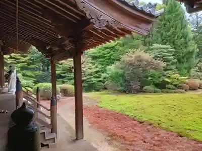 隨心院(随心院)(京都府)