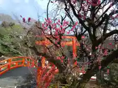 賀茂御祖神社（下鴨神社）(京都府)