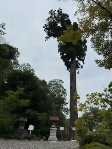 鶴峯八幡宮(千葉県)