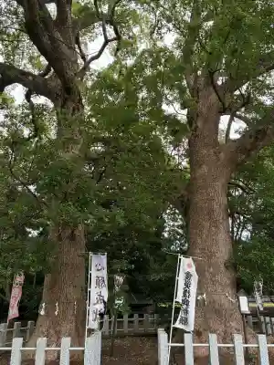 服織田神社(静岡県)