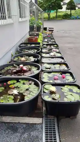 極楽山　浄土寺(北海道)