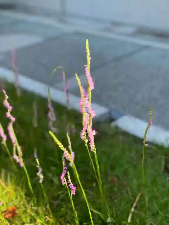 浄妙寺(神奈川県)