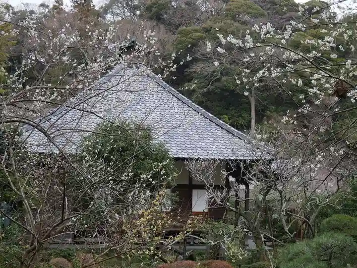 光則寺の本殿・本堂