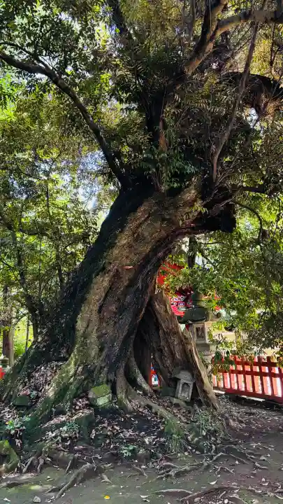香取神宮(千葉県)