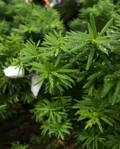 高司神社〜むすびの神の鎮まる社〜(福島県)