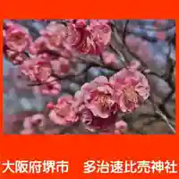 多治速比売神社の自然