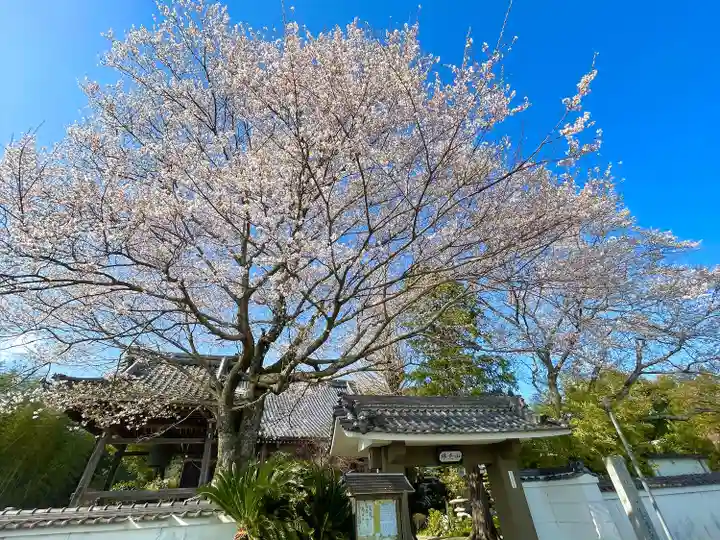 善性寺(三重県)