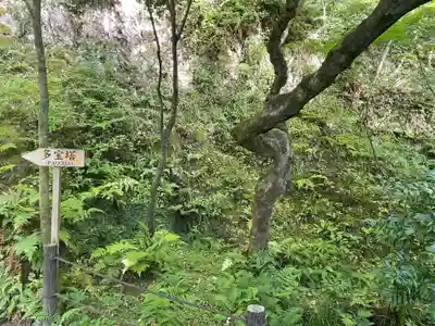 禅林寺(永観堂)(京都府)