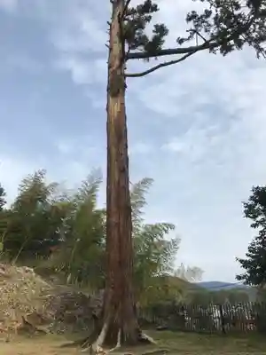 法吉神社のその他建物