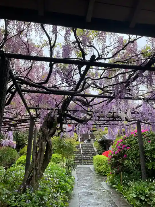 子安地蔵寺の庭園