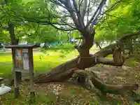 竹渕神社(大阪府)