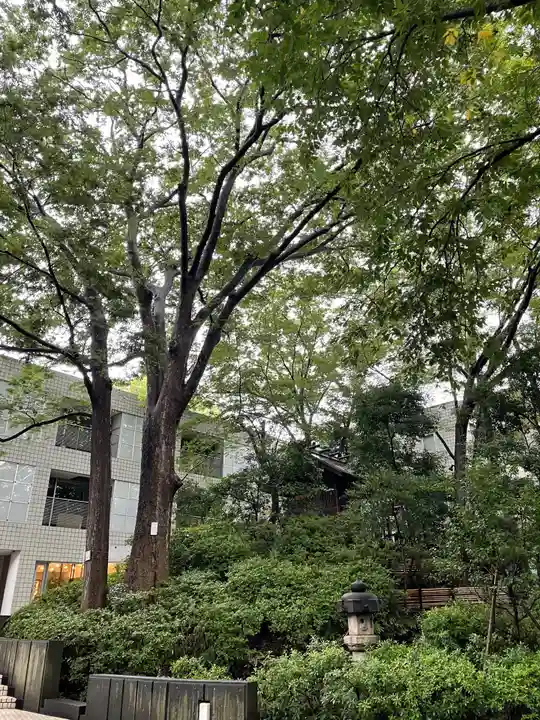 猿楽神社の自然