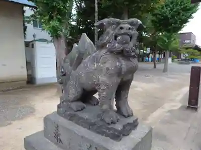 苗穂神社の狛犬