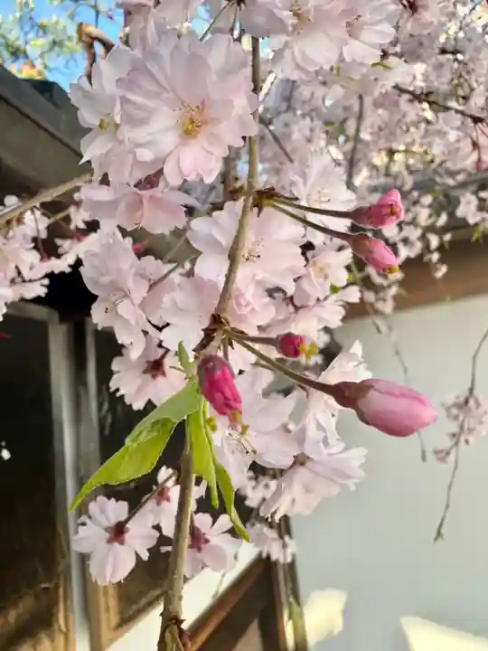 西住院(京都府)