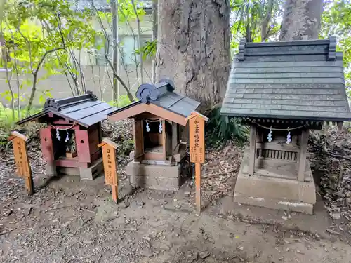 川越氷川神社(埼玉県)
