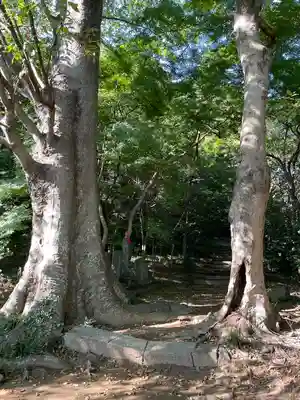 金龍寺(群馬県)