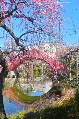 亀戸天神社(東京都)