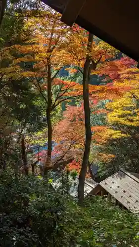 柳谷観音　楊谷寺(京都府)