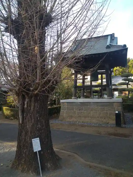 普済寺のその他建物